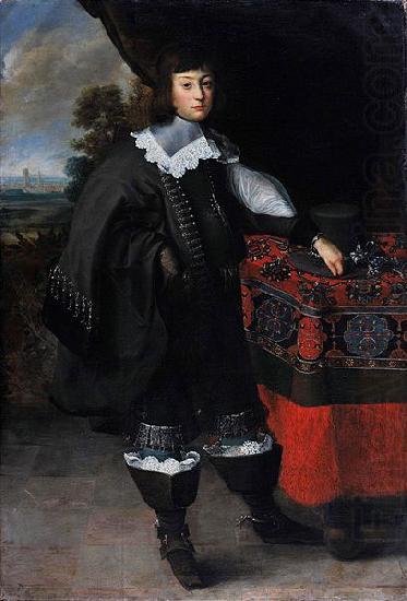 Peeter Danckers de Rij Portrait of a young man against the background of Gdansk . china oil painting image